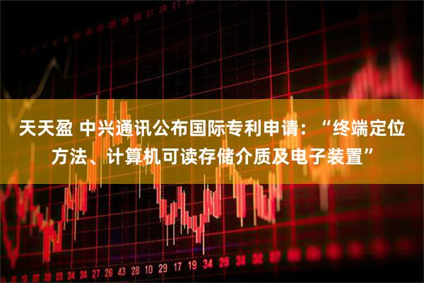天天盈 中兴通讯公布国际专利申请：“终端定位方法、计算机可读存储介质及电子装置”
