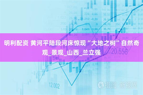 明利配资 黄河平陆段河床惊现“大地之树”自然奇观_景观_山西_兰立强
