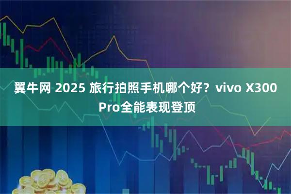 翼牛网 2025 旅行拍照手机哪个好？vivo X300 Pro全能表现登顶