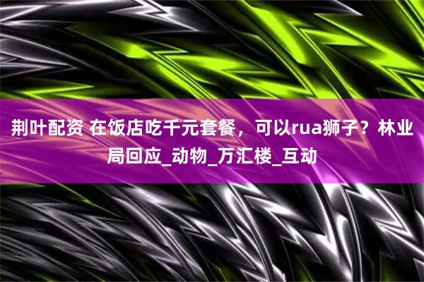 荆叶配资 在饭店吃千元套餐，可以rua狮子？林业局回应_动物_万汇楼_互动